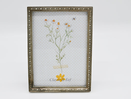 Bilderrahmen 'silber -groß'