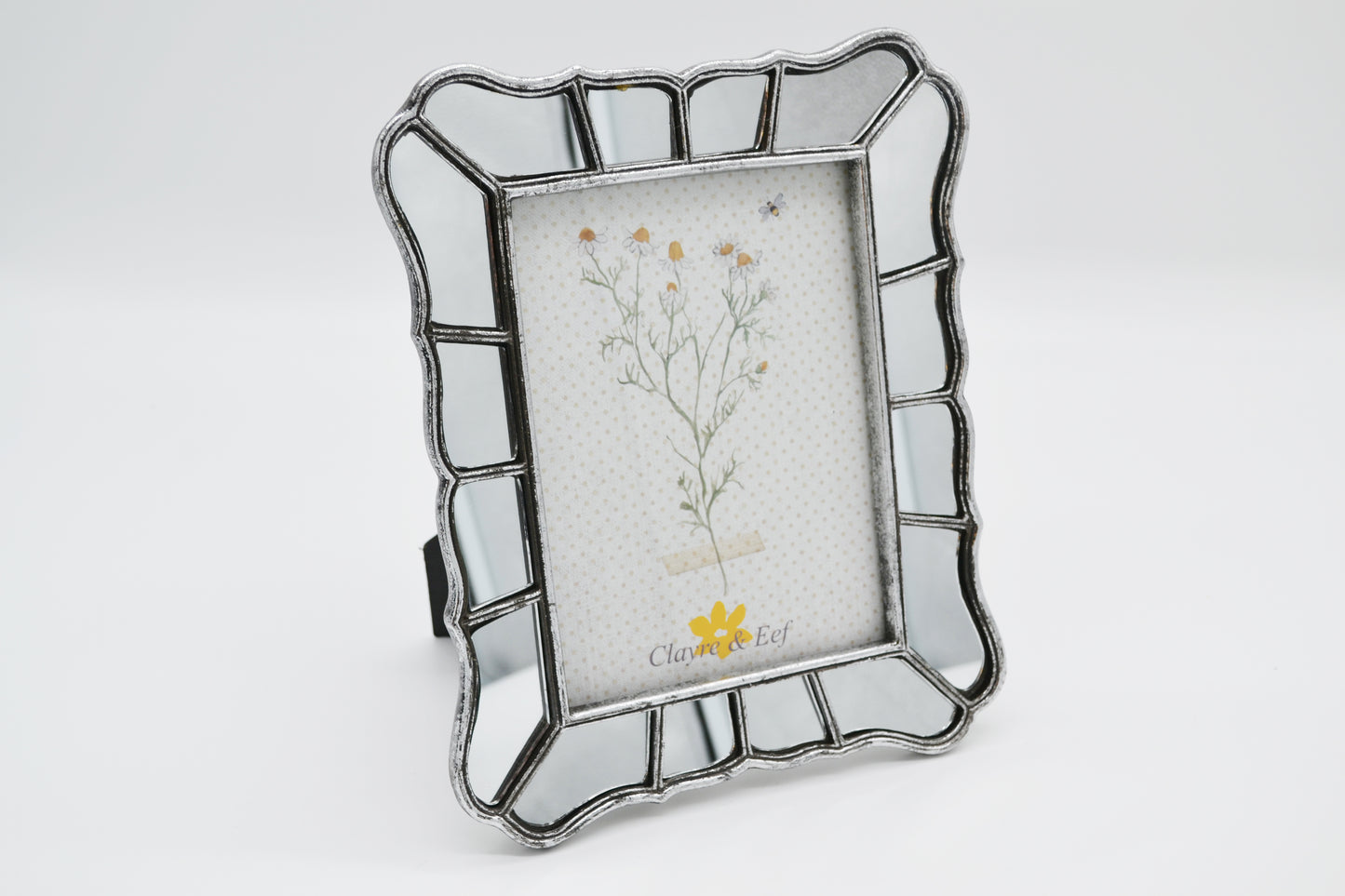 picture frame 'mirror'