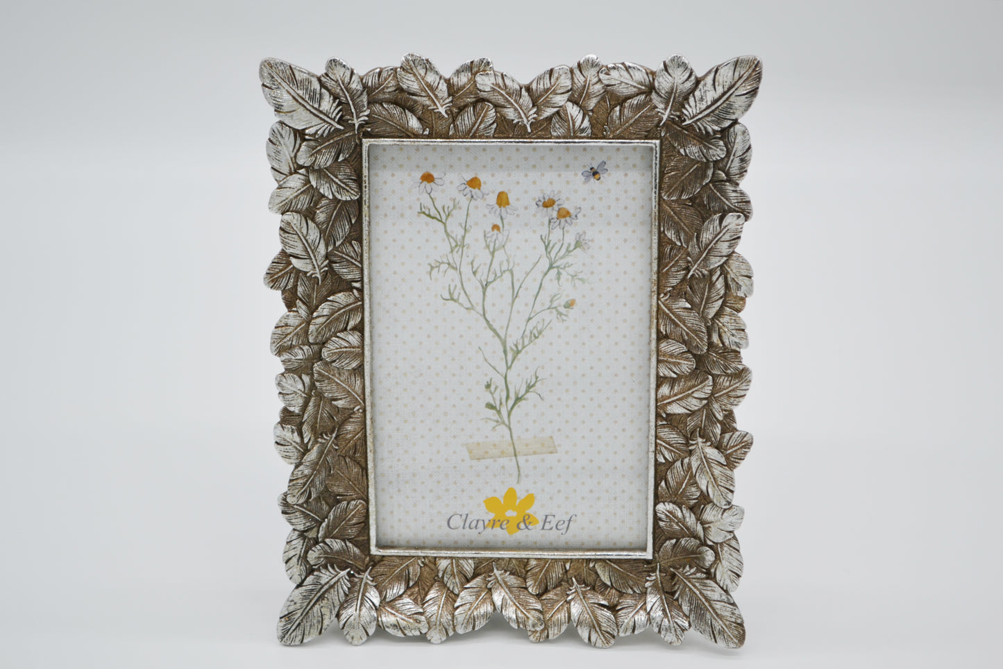 Picture frame "Feathers" 