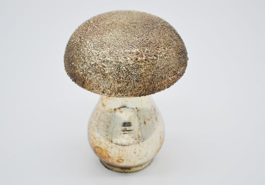Deko Pilz