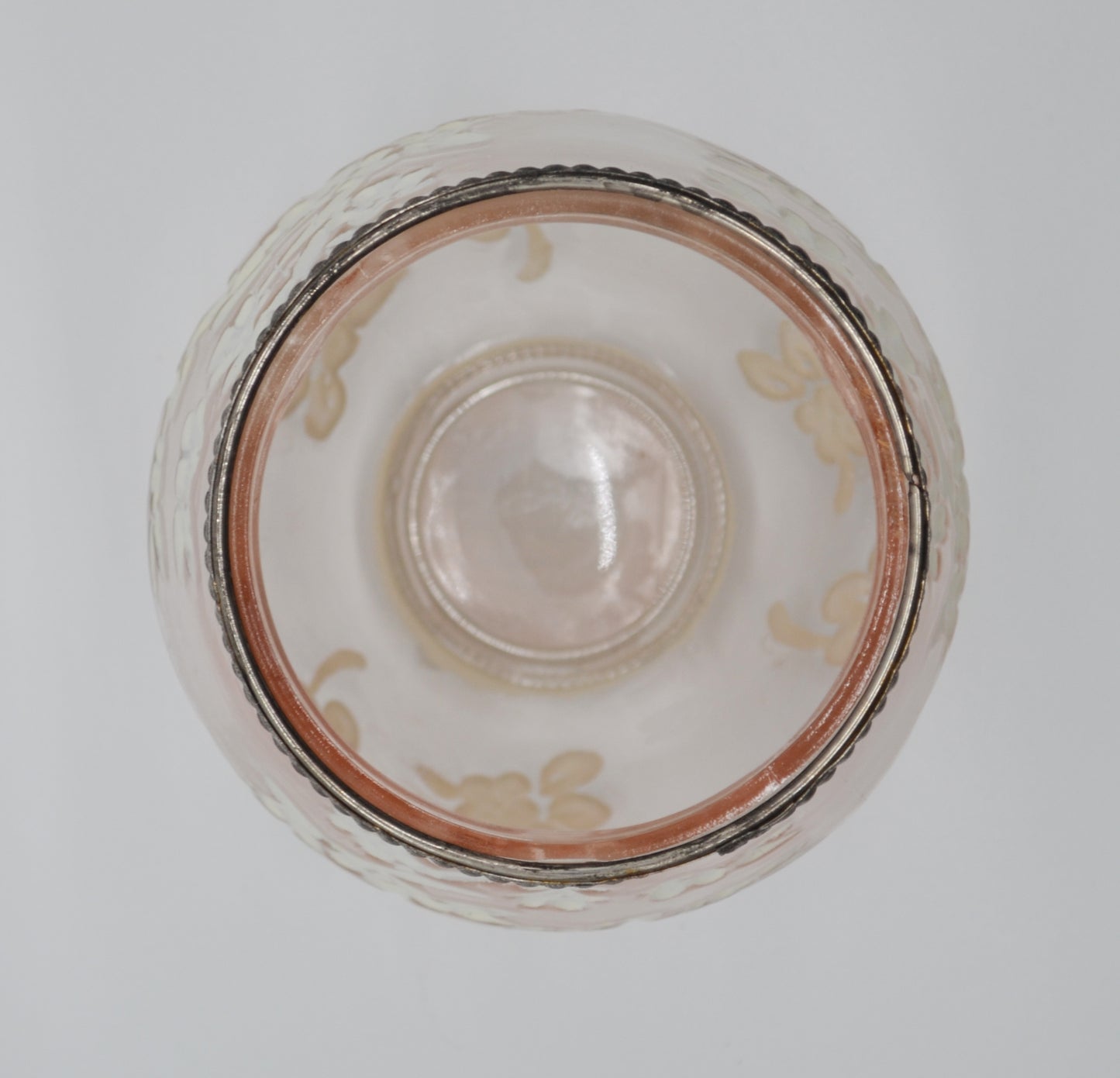 Photophore, fleur 